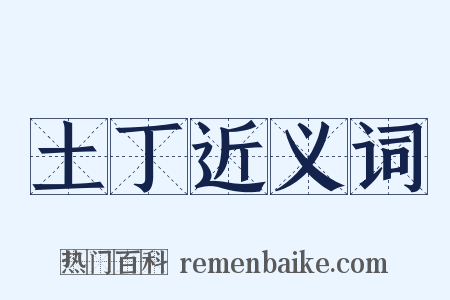 土丁近义词是什么意思的图片